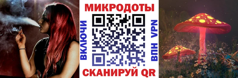 мега сайт  Питкяранта  Галлюциногенные грибы GOLDEN TEACHER  купить  цена 